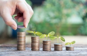 Hand with leaves or leaf plant on coins forward for profits growth up collect money saving