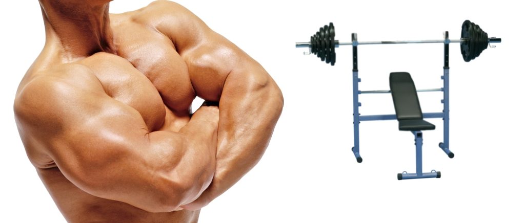 Bodybuilder and simulator